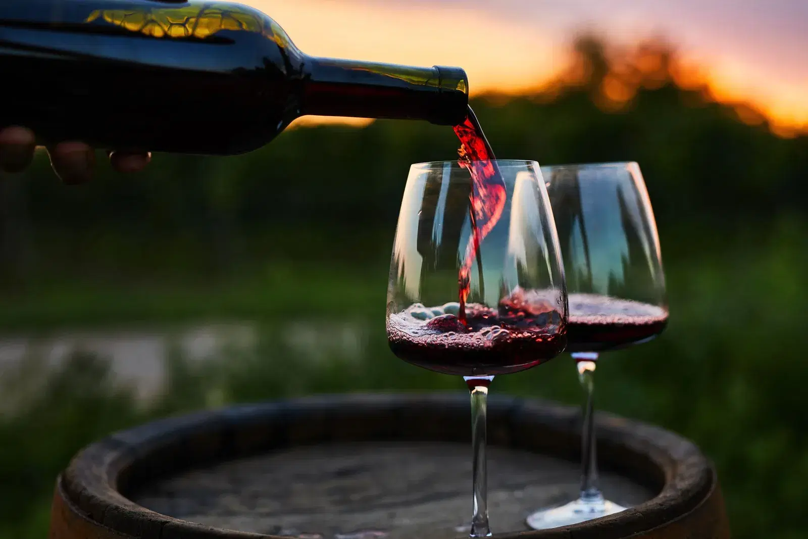 Vinhos e Champanhe